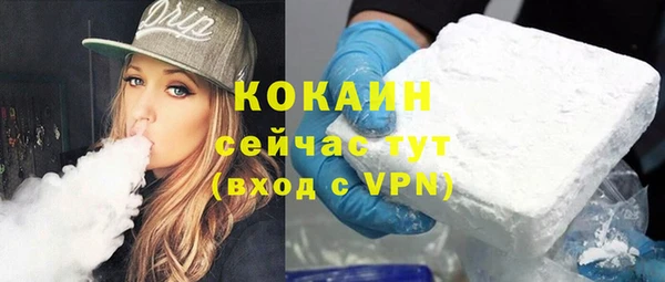PSILOCYBIN Дмитриев