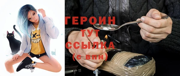 PSILOCYBIN Дмитриев