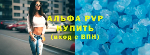 PSILOCYBIN Дмитриев