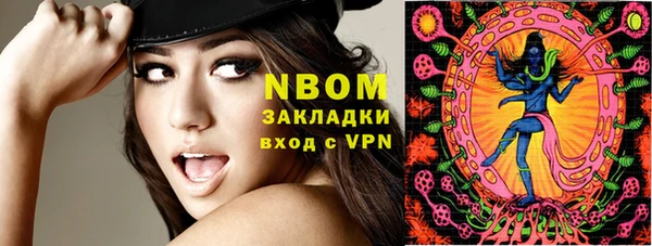 PSILOCYBIN Дмитриев