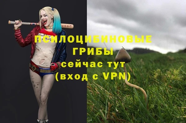 PSILOCYBIN Дмитриев