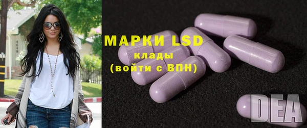 PSILOCYBIN Дмитриев