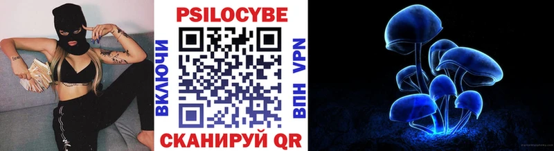 Купить  Костомукша  Галлюциногенные грибы Psilocybe 